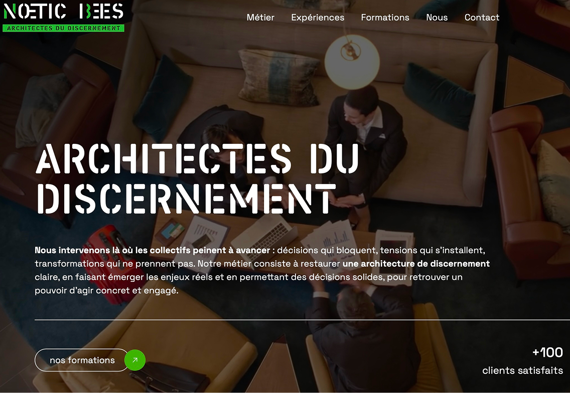 noeticbees-1.jpg